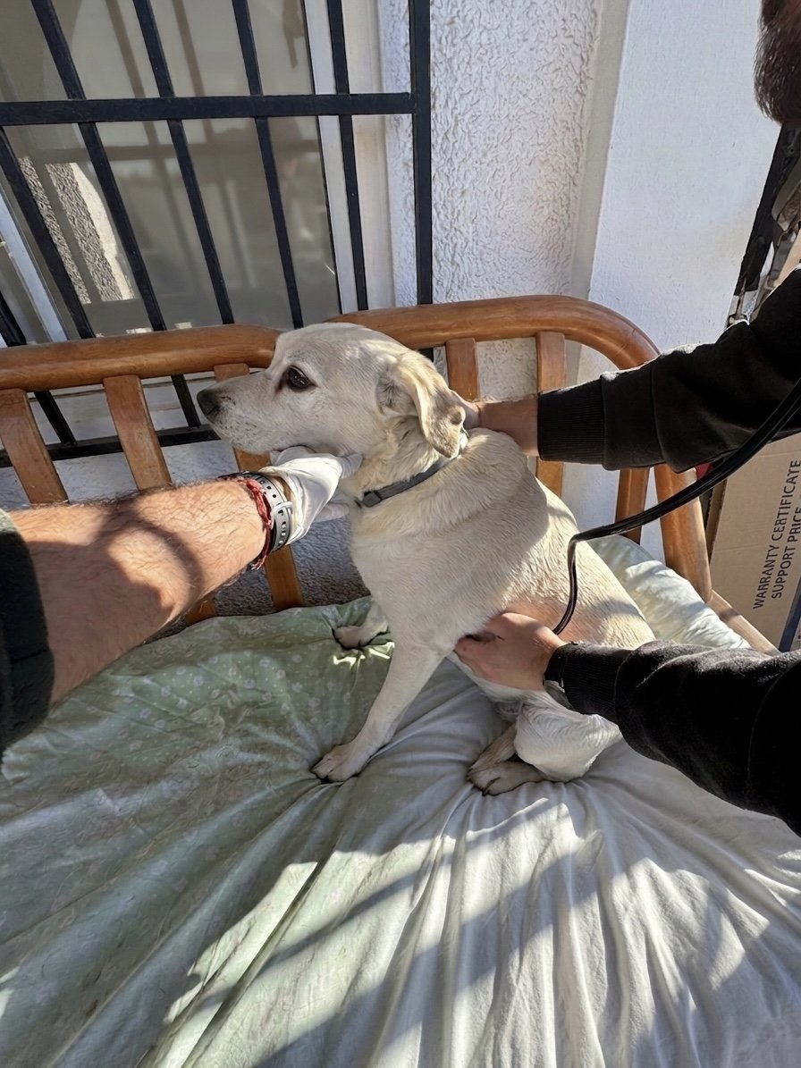 Consulta rutinaria a domicilio